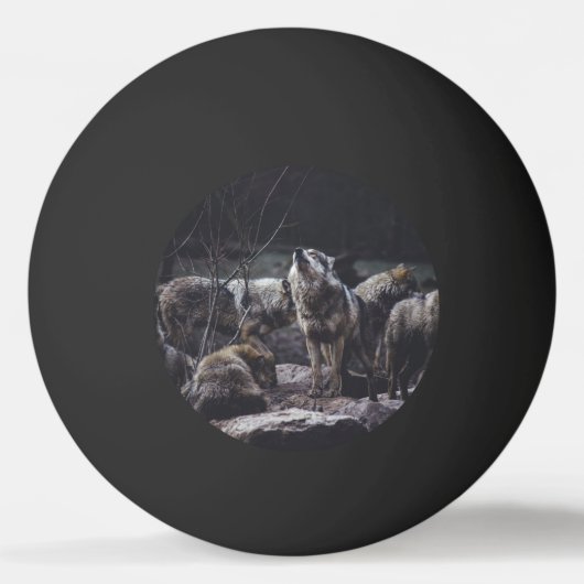 Wolf Pack Pingpongballen (Voorkant)