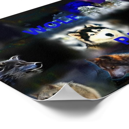 Wolf Pack poster (Hoek)