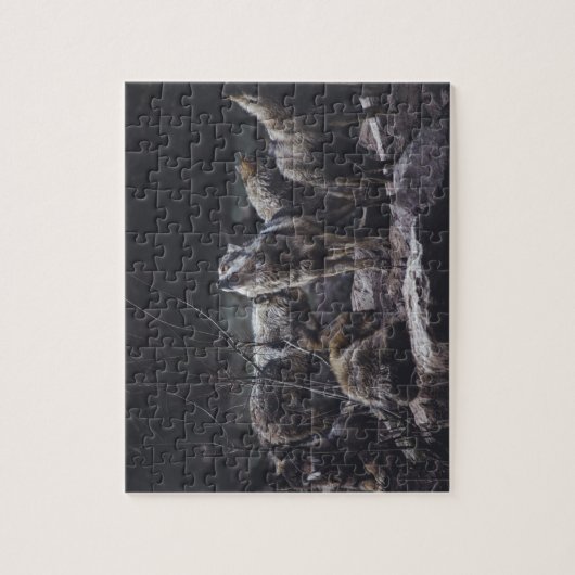 Wolf Pack puzzel (Verticaal)