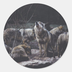Wolf Pack Ronde Sticker