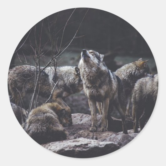 Wolf Pack Ronde Sticker (Voorkant)
