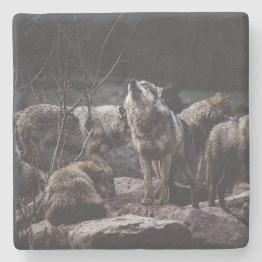 Wolf Pack Stenen Onderzetter (Voorkant)