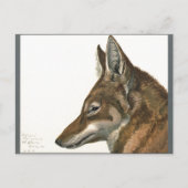 Wolf Painting Zelden Briefkaart (Voorkant)