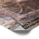 WOLF PEN MILL POSTER (Hoek)