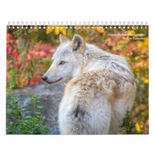Wolf Photography Calendar Kalender