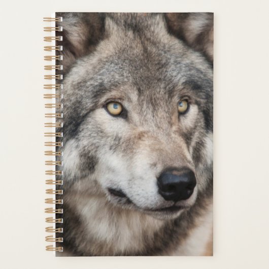 Wolf Planner (Devant)