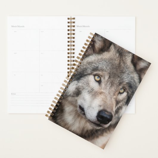 Wolf Planner (Devant avec enveloppe)