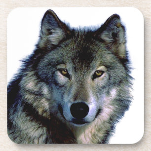 Wolf Portrait Bier Onderzetter