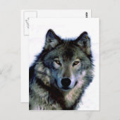 Wolf Portrait Briefkaart (Voorkant / Achterkant)