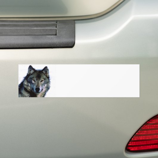 Wolf Portrait Bumpersticker (Op auto)