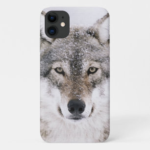 Wolf Portrait iPhone 11 Hoesje