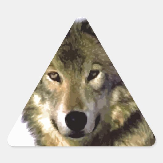 Wolf Portrait Driehoek Sticker (Voorkant)