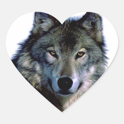 Wolf Portrait Hart Sticker (Voorkant)