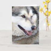 Wolf Portrait Kaart (Gele Bloem)