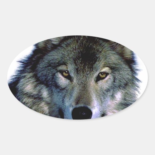 Wolf Portrait Ovale Sticker (Voorkant)