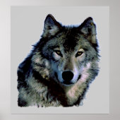 Wolf Portrait Poster (Voorkant)