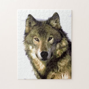 Wolf Portrait Wild Animals Legpuzzel