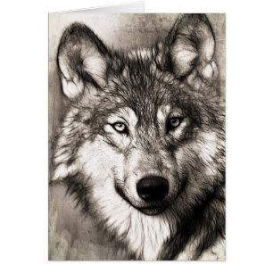Wolf portret