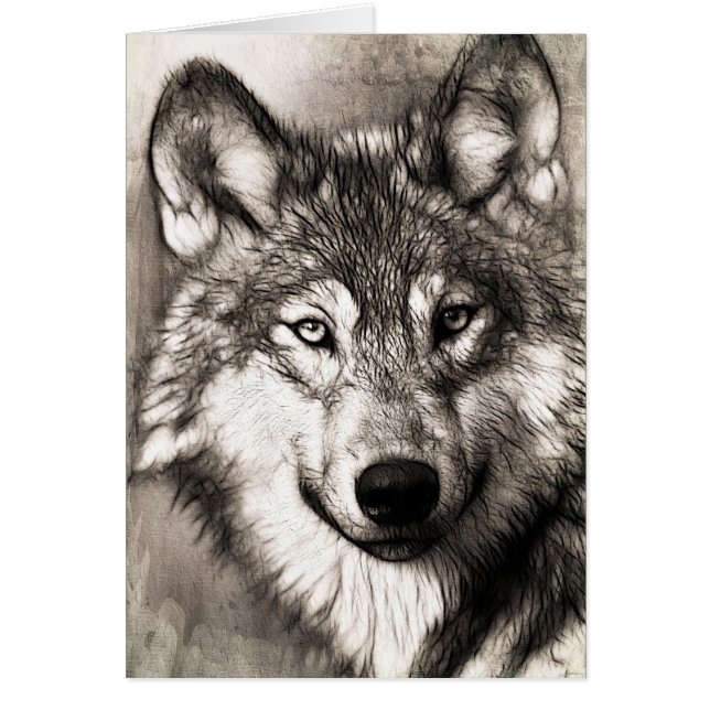 Wolf portret (Voorkant)