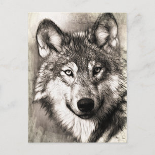 Wolf portret briefkaart