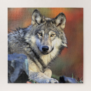 Wolf Portret Legpuzzel