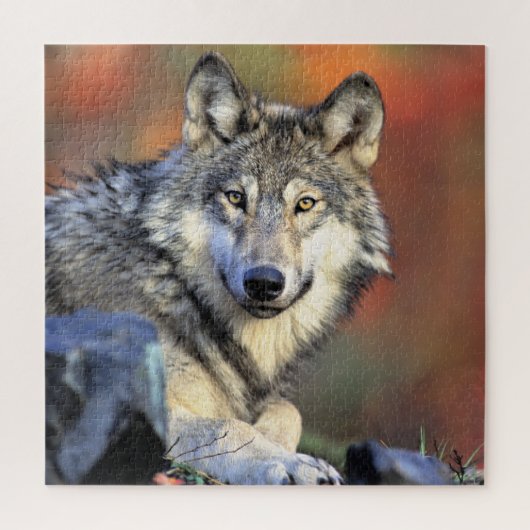 Wolf Portret Legpuzzel (Verticaal)