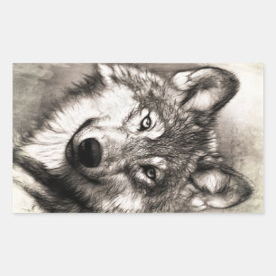 Wolf portret rechthoekige sticker