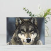 Wolf Portret Uitnodiging (Staand voorkant)