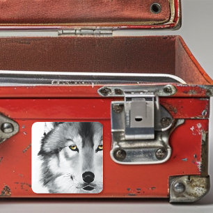 Wolf Portret Zwart Wit Vierkante Sticker