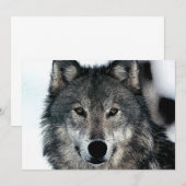 Wolf Portretuitnodiging Kaart (Voorkant / Achterkant)