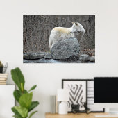 Wolf Poster (Thuiskantoor)