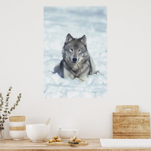 Wolf Poster (Keuken)