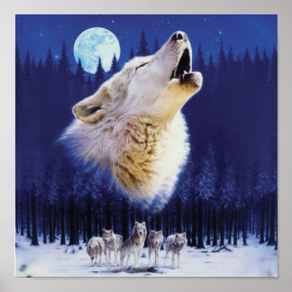 Wolf Poster