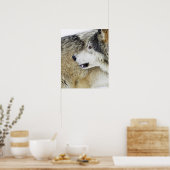 Wolf Poster (Keuken)