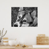 Wolf Poster (zwart-wit) (Keuken)