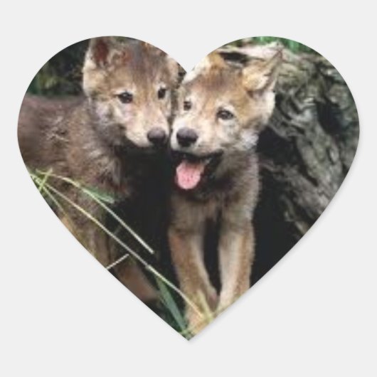 Wolf pup stickers (Voorkant)