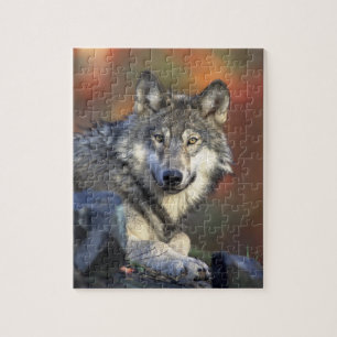 Wolf Puzzle Legpuzzel