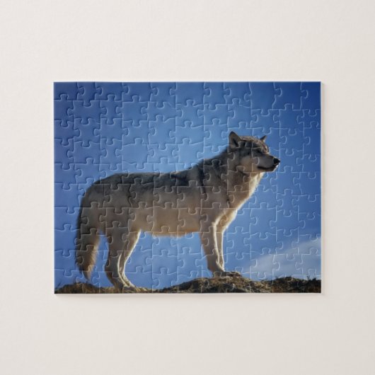 Wolf Puzzle Legpuzzel (Horizontaal)