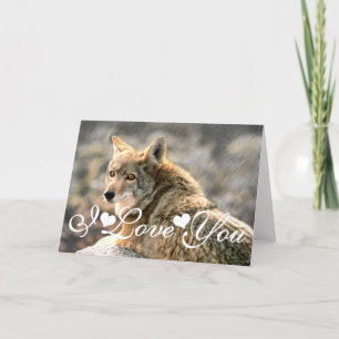 Wolf Rain Grafische Kunst Afbeelding Ik Hou Van Jo Kaart