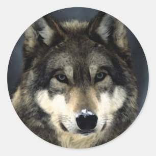 Wolf Ronde Sticker