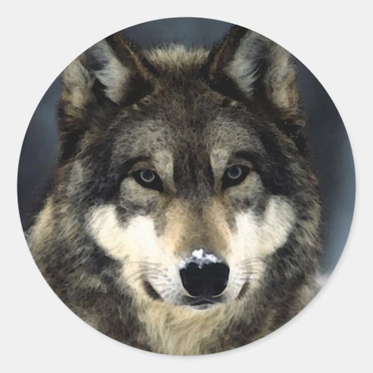 Wolf Ronde Sticker (Voorkant)