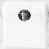 Wolf Ronde Sticker (Tas)