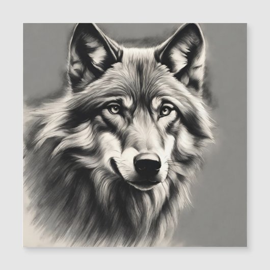 Wolf Sketch (Voorkant)