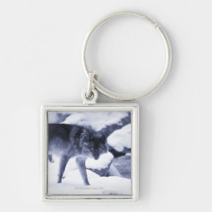 Wolf Sleutelhanger
