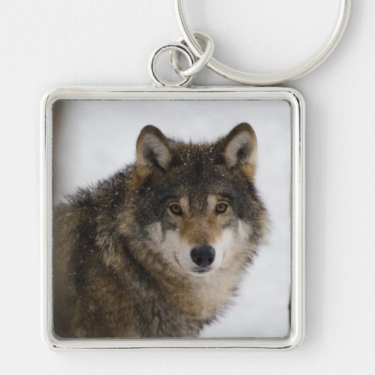 Wolf Sleutelhanger (Voorkant)