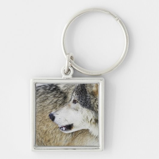 Wolf Sleutelhanger (Voorkant)