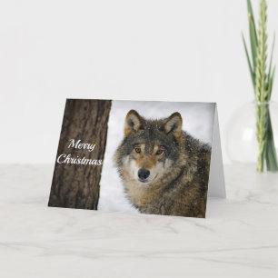 Wolf Snow Tree Foto van Kerstmis Feestdagen Kaart