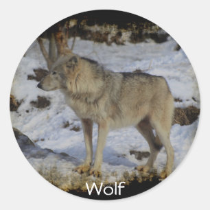 Wolf & Snow Wolf-Lover Wild Animal Alpha Man Ronde Sticker