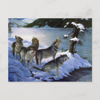 Wolf song, Wolves Briefkaart