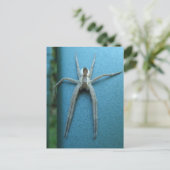 Wolf Spider 165 ~ briefkaart (Staand voorkant)